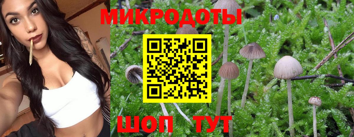 закладки  Псилоцибиновые грибы GOLDEN TEACHER  Вход с VPN  Уварово 